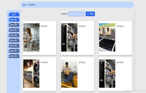 基于Python的干洗店預約洗衣系統(tǒng)設計與實現(xiàn)