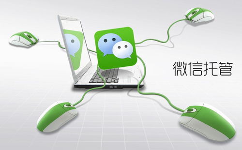 優(yōu)化電腦圖文設(shè)計(jì)制作業(yè)務(wù)流程 高效降低運(yùn)營(yíng)成本與提升運(yùn)營(yíng)效果